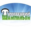 Логотип телеграм канала @shampiniontihoretsk — Тихорецкий шампиньон
