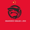 Logo saluran telegram shanchundefi — SHANCHUN 山春 鯨魚 首都 🐳
