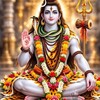 टेलीग्राम चैनल का लोगो shankarbhaiiii — satta Shanker bhai