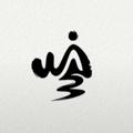电报频道的标志 shanshui003 — 山水—业务频道