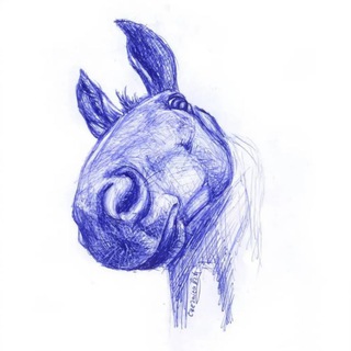 Логотип телеграм канала @shansvisokovsk_horseriding — Шанс на жизнь ПОХОДЫ