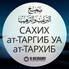 Логотип телеграм канала @sharh_sahih_targib — Сахих «ат-Таргъиб ва-т-Тархиб»