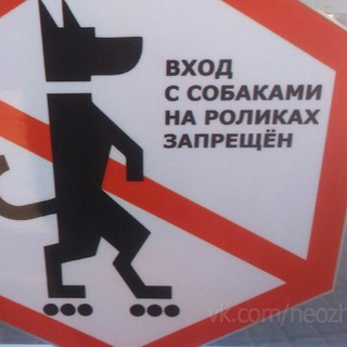 Логотип телеграм канала @sharikiiroliki — Шарики и ролики