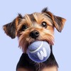 Логотип телеграм канала @sharikipets — Шарики — виляй сюда