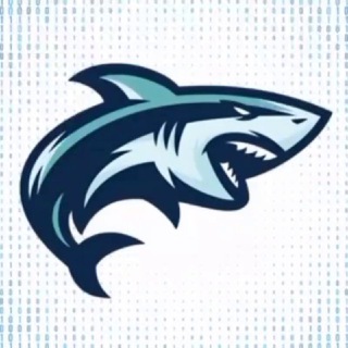 Logo saluran telegram shark_1xgamess — Shark 1XBET