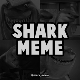 لوگوی کانال تلگرام shark_meme — شارک میم