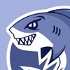 Logo of telegram channel shark_accounts — Агентские аккаунты SHARK AGENCY