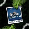 Telegram channel 🦈 𝐒𝐡𝐚𝐫𝐤 𝐌𝐮𝐳𝐢𝐤 𝟏𝟏𝟕 🦈ོ logo