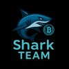 Логотип телеграм канала @shark_trade_team — Shark Team | Trade