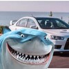 Логотип телеграм канала @sharkavtobiznes — Авто Shark🦈