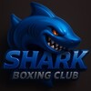Логотип телеграм канала @sharkboxingclub — SHARK BOXING CLUB🦈