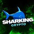 电报频道的标志 sharkingcrypto — Sharking Crypto