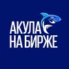 Логотип телеграм канала @sharkinv — Акула на Бирже