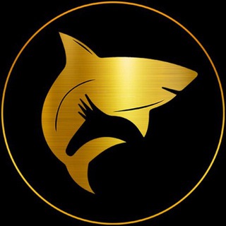 Логотип телеграм канала @sharknews_hub — SHARK•NEWS