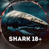 Логотип телеграм канала @sharknews18 — SHARK 18 