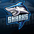 Logo saluran telegram sharkscallss — Sharks Calls™