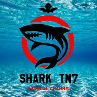 Логотип телеграм канала @sharktm7 — Ꮪʜᴀʀᴋ_ᴛᴍ7