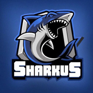 Логотип телеграм -каналу sharkus1 — SHARKUS-Заробіток в інтернеті