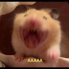 Логотип телеграм канала @sharoebuu — Шароебы