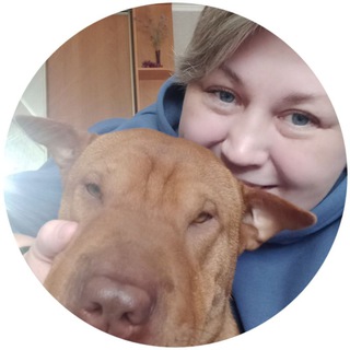 Логотип телеграм канала @sharpei_bruny — СОБАЧЬЯ ЖИЗНЬ