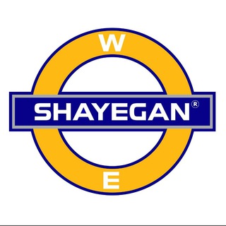 لوگوی کانال تلگرام shayeganinstitute — SHAYEGAN INSTITUTE