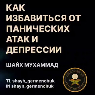 Telegram channel shayh_germenchuk logo