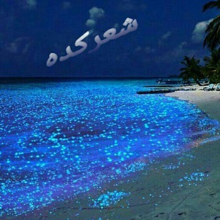 لوگوی کانال تلگرام sheer_kadee — شعرکده
