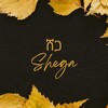 የቴሌግራም ቻናል አርማ shegamediahq — Shega Media - ሸጋ ሚድያ