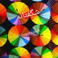 لوگوی کانال تلگرام shegeftaaneh — شگفتانه