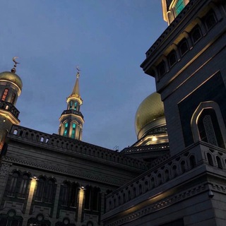 Логотип телеграм канала @sheikhtazu — 𝗦𝗛𝗘𝗜𝗞𝗛𝗧𝗔𝗭𝗨ོ