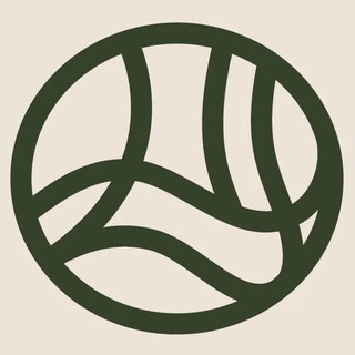 Telegram channel Шейливуд logo