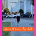 Logo saluran telegram shekofeyosefi — ثروت عشق با شکوفه یوسفی