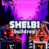Логотип телеграм канала @shelbibulldrop — Shelbi Bulldrop | GGstandoff 🌌