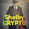 لوگوی کانال تلگرام shelbycrypto67 — 🇩🇪ShelbyCRYPTO67🇩🇪
