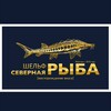 Логотип телеграм канала @shelffish — Шельф Северная Рыба