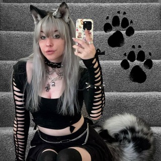 لوگوی کانال تلگرام shelter_pets — 🐾پناهگاه/༒𝑺𝑯𝑬𝑳𝑻𝑬𝑹