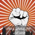 Logo saluran telegram shenasaiiran — کانال محرمانه شناسایی و شکار مزدور ایران