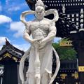 电报频道的标志 shenm666666 — 神明做单新频道