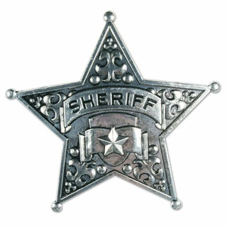 Логотип телеграм канала @sheriff_on — Sheriff