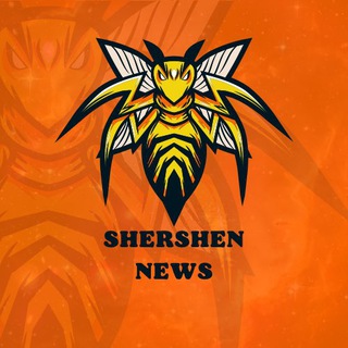 Логотип телеграм -каналу shershennews — Шершень🐝Новости