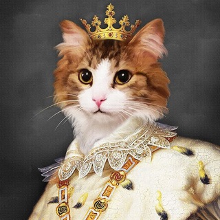 Логотип телеграм канала @sherst_c — Шерстяное царство