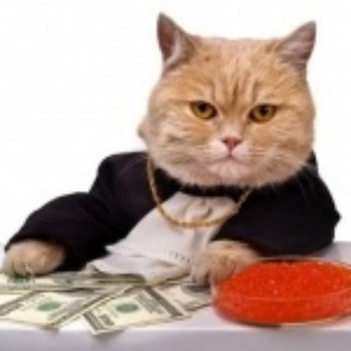 Логотип телеграм канала @sherstyanyee — Шерстяные