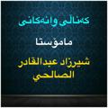 Logo saluran telegram sherzadsalhy — وانەکانی م‌‌‌: شيرزاد عبدالقادر الصالحي