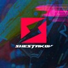 Логотип телеграм канала @shestakovspeedway — SHESTAKOV Спидвей