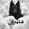 لوگوی کانال تلگرام shetiing1 — " شـِتــیــنــگ