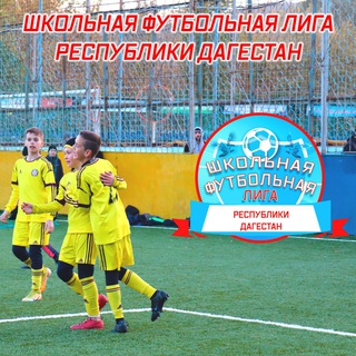 Логотип телеграм канала @shfl_rd — ШФЛ РД