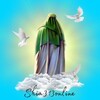 لوگوی کانال تلگرام shia313online — Shia313online