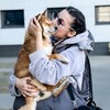 Логотип телеграм канала @shibakutueva — kutueva.shiba