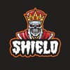 Логотип телеграм канала @shield_kr1k — Shield cheat