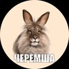 Логотип телеграм канала @shikovgive — шиков